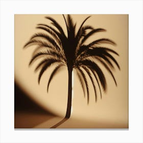 Shadow Of Palm Tree 1 Canvas Print
