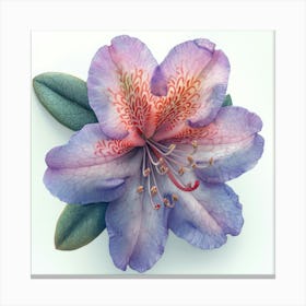 Rhododendron 4 Canvas Print