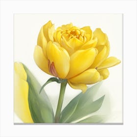 Yellow Tulip Rose Painted In Watercolor Canvas Print