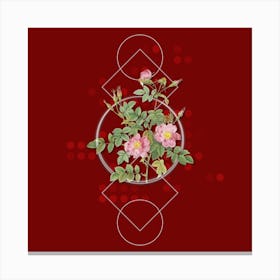 Vintage Pink Rosebush Bloom Botanical with Geometric Line Motif and Dot Pattern n.0126 Canvas Print