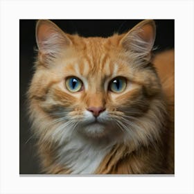 Orange Tabby Cat Canvas Print