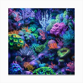 Coral Reef 8 Canvas Print