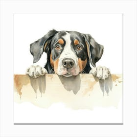 Bernese Dog 2 Canvas Print