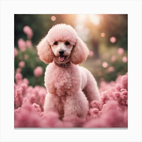 Pink Poodle In The Field Canvas Print