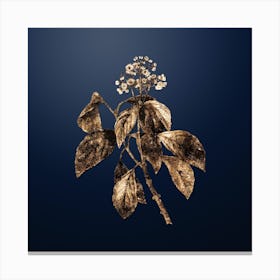 Gold Botanical Climbing Hydrangea on Midnight Navy n.2071 Canvas Print