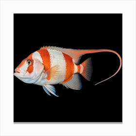 It's a vibrant fish with striking red and white stripes 1 Canvas Print