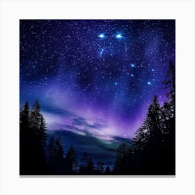 Night Sky With Aurora Canvas Print
