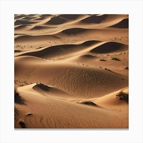 Sahara Desert 2 Canvas Print