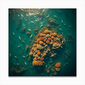 Coral Reef30 Canvas Print