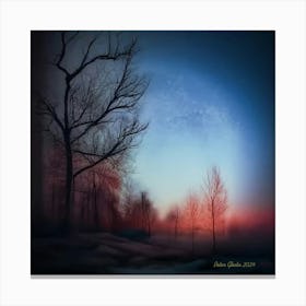 Lonely Night, by Peter Ghetu 2024 Canvas Print