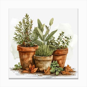 Three Pots Of Herbs 1 Canvas Print