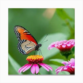 Butterfly On A Flower 9 Canvas Print