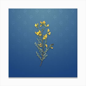 Vintage Adenocarpus Botanical on Bahama Blue Pattern n.1591 Canvas Print