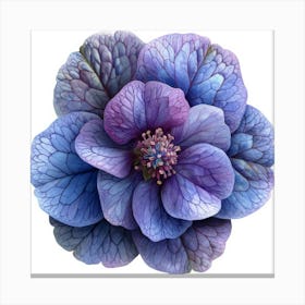 Blue Hellebore Flower 2 Canvas Print