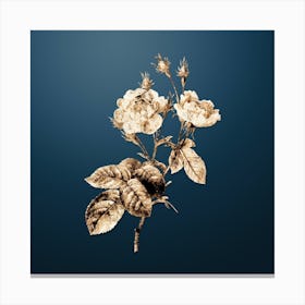 Gold Botanical Anemone Centuries Rose on Dusk Blue n.4039 Canvas Print