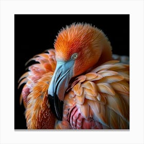 Flamingo 61 Canvas Print