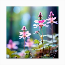 Landscape Vibrant Flowers Canvas Print