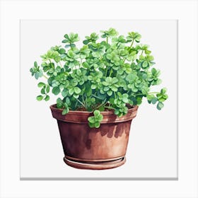 Shamrock 1 Canvas Print