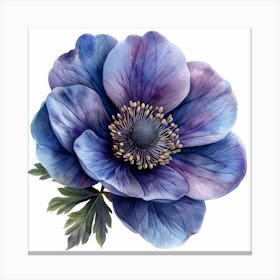 Blue Anemone Flower Stampe su tela