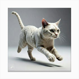 Cat Running Canvas Print