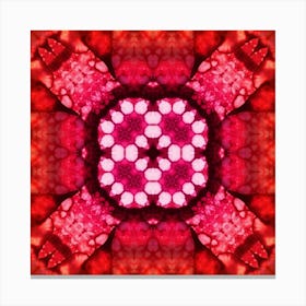 Abstract Pattern Spilled Watercolor Red Canvas Print