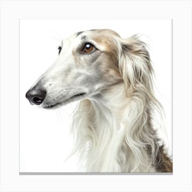 Borzoi Dog Portait Stampe su tela