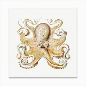 Vintage Octopus Marine Life Illustration Canvas Print