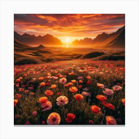 Poppies At Sunset Canvas Print