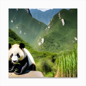 Panda Bear In The Mountains Canvas Print