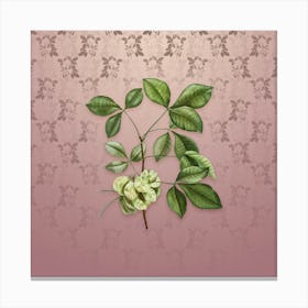 Vintage Common Hoptree Botanical on Dusty Pink Pattern n.2128 Canvas Print