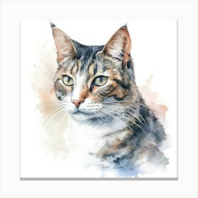 Aegean Cat Portrait 2 Canvas Print