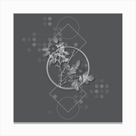 Vintage Spiny Leaved Rose of Dematra Botanical with Line Motif and Dot Pattern in Ghost Gray n.0175 Canvas Print