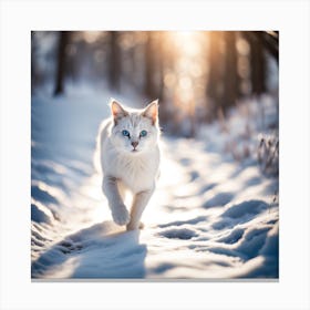White Cat In The Snow Canvas Print