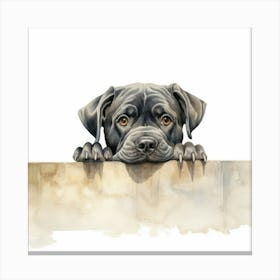 Black Dog Peeking Over The Wall Canvas Print