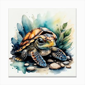Baby Turtle Canvas Print