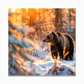 Majestic Brown Bear in Snowy Sunrise Forest Canvas Print