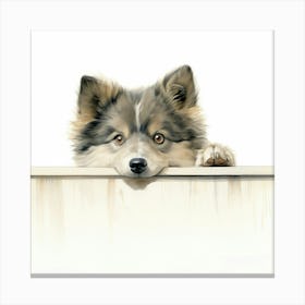 Husky Dog 7 Canvas Print