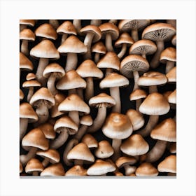 Mushrooms On A Black Background 8 Canvas Print