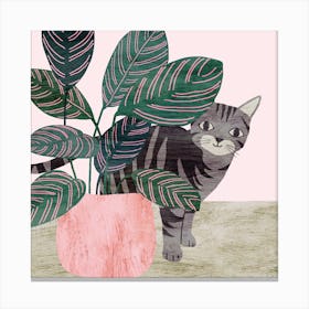 Tabby Cat And Calathea Square Canvas Print