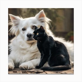 Black Cat And White Dog 5 Canvas Print