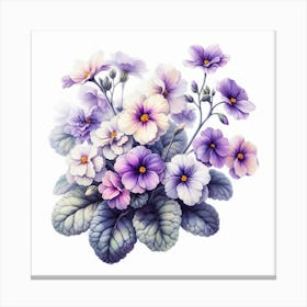 Flowers of Saintpaulia Canvas Print