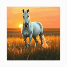 White Horse In The Field At Sunset 1 Canvas Print