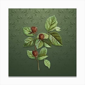 Vintage Carolina Allspice Flower Botanical on Lunar Green Pattern Canvas Print