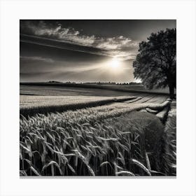 Black And White Photography 15 Canvas Print