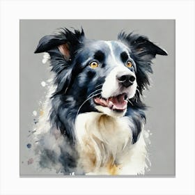 Border Collie Canvas Print Canvas Print