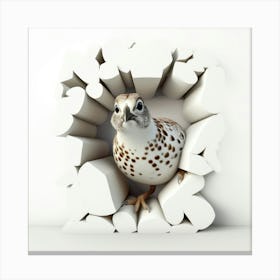 Quail Peeking Through A Hole Canvas Print