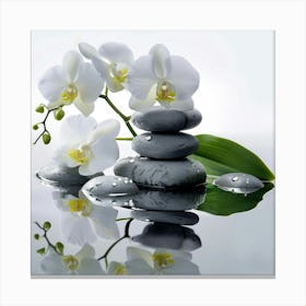 White Orchids And Stones Photo Canvas Print