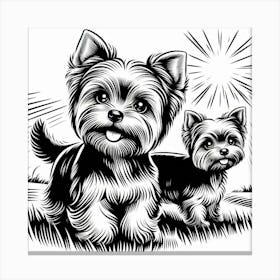 A yorkie dog 2 Canvas Print