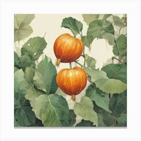 Pumpkins On The Vine Canvas Print