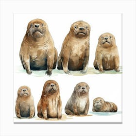 Walruses Cartoon 3 Canvas Print